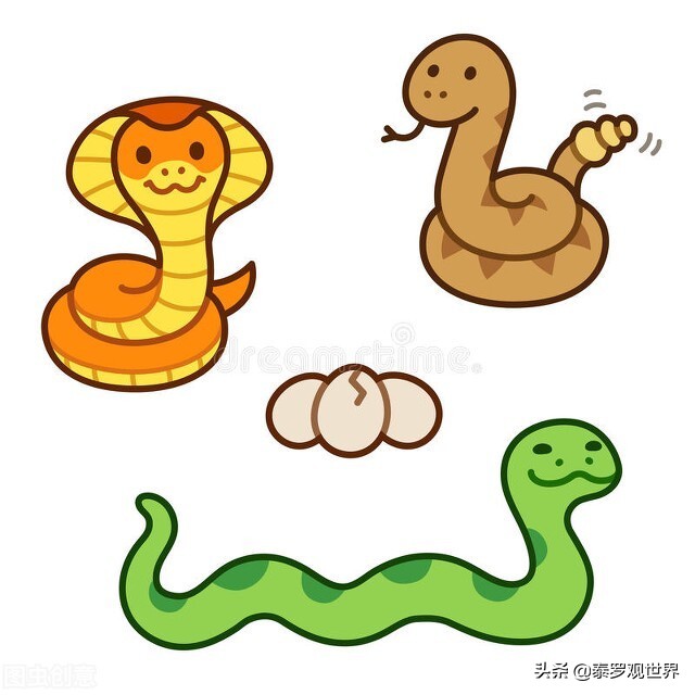 蛇为什么会把蛇打死,打蛇一定要打死不然蛇会来报复你