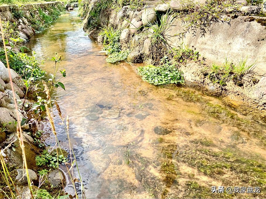 幸福新时代主题绘画图文,幸福盘龙