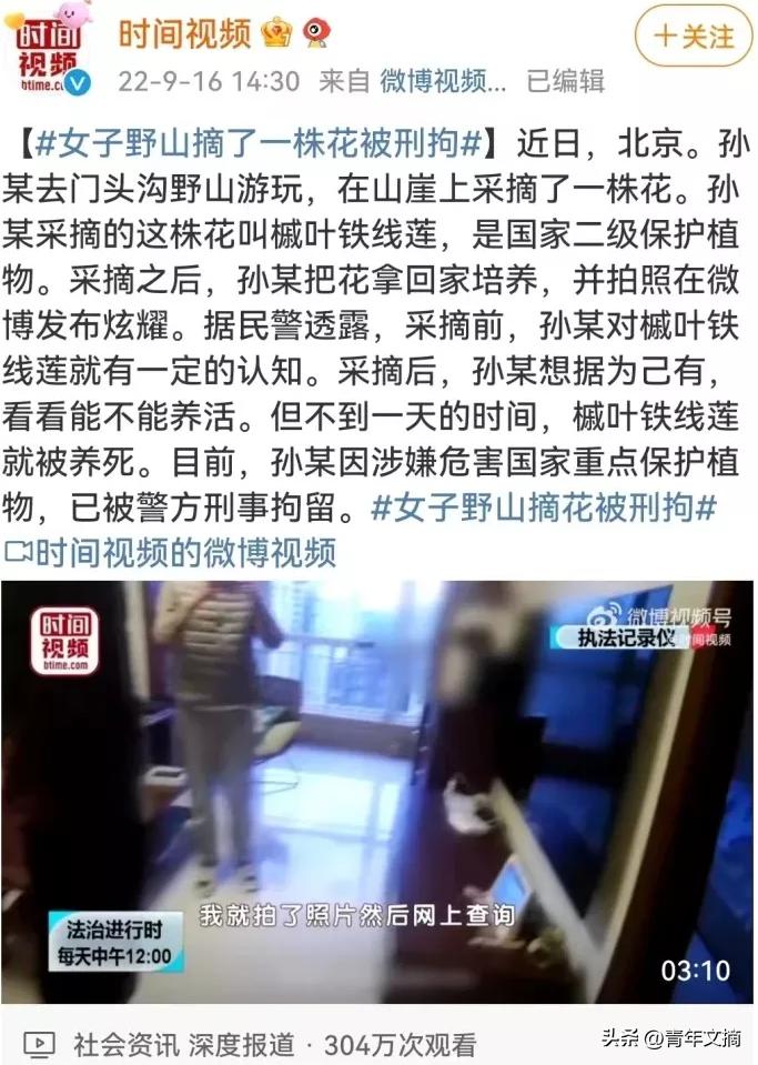 南京摘花被判刑,到底有多少人因为摘花被判刑了