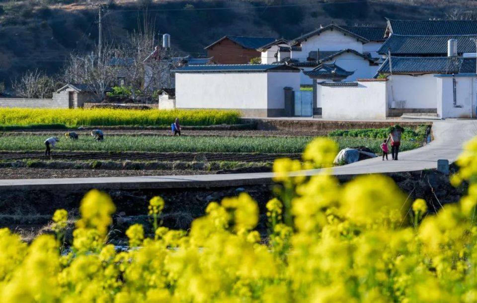 旅居养老小众地,旅居养老乡村型