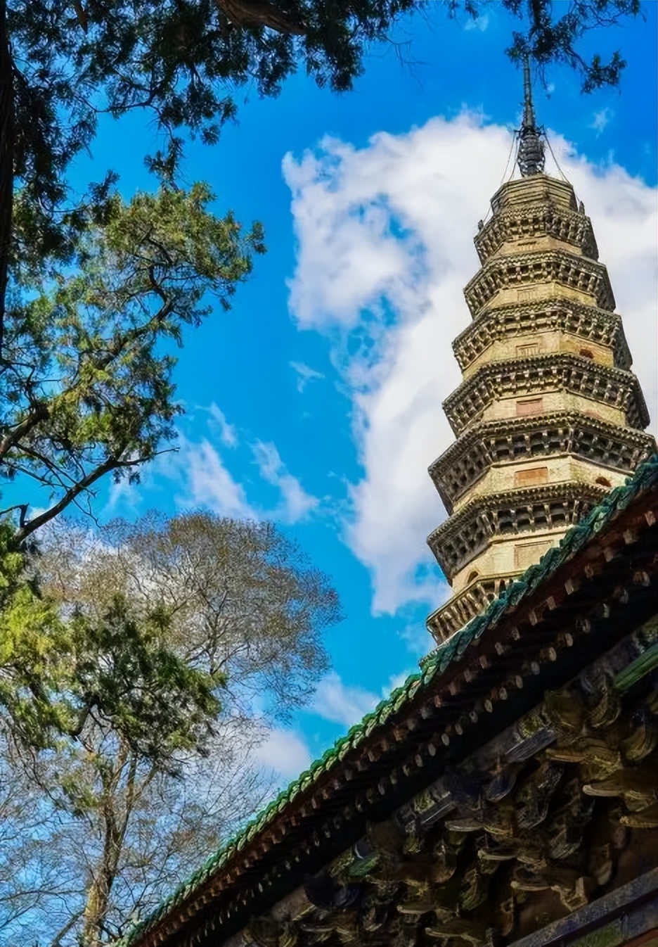 519旅游日免门票广西,2024年519中国旅游日景区优惠