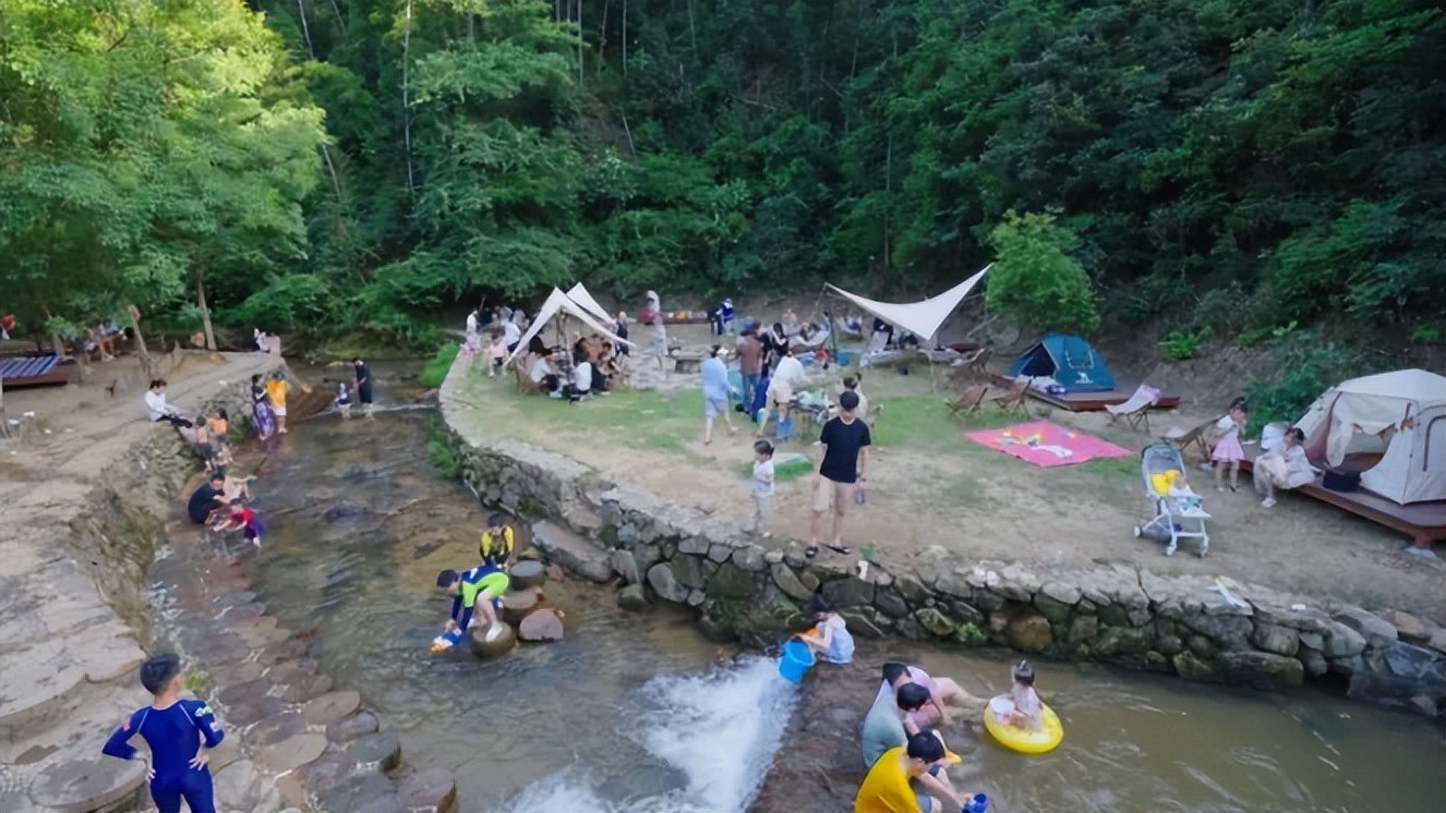 农民合作社助力乡村,助推乡村民宿高质量发展