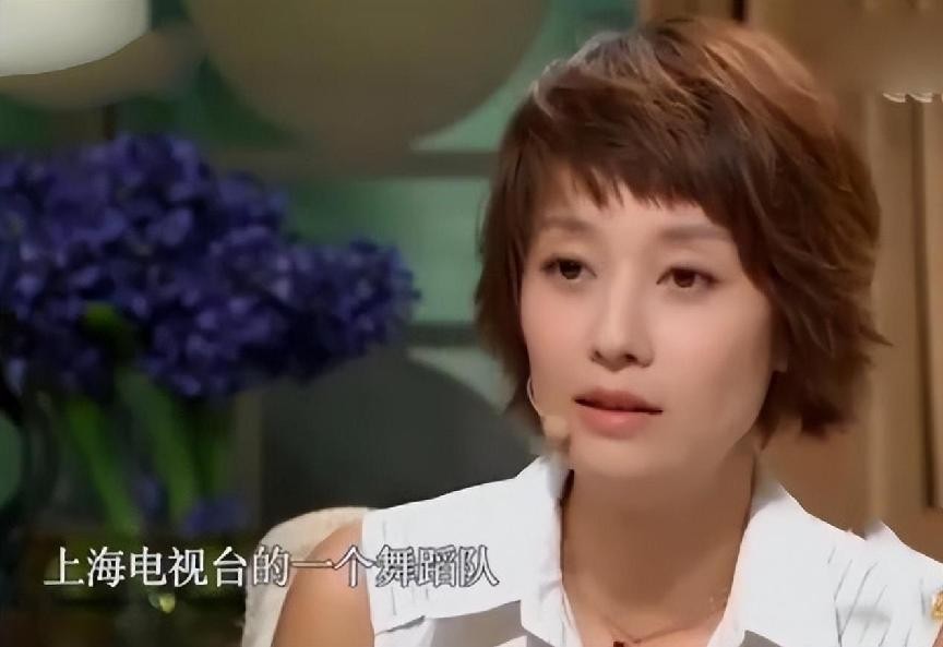 龙城马伊琍剧情,连续剧龙城马伊琍