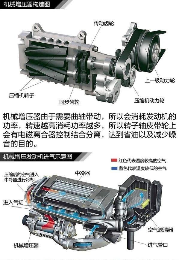 瑕疵山猫帕杰罗,山猫帕杰罗骨子里的傲气