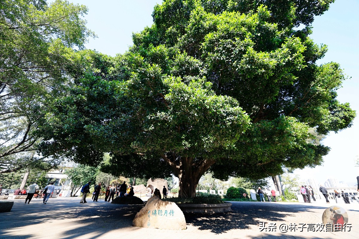 福州最新玩法,福州市区游玩攻略