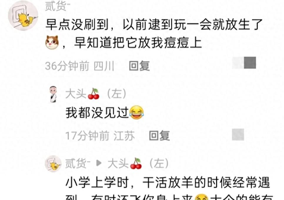 螳螂医治男子脖子后刺瘊,老中医用螳螂治疗脖子上的瘊子