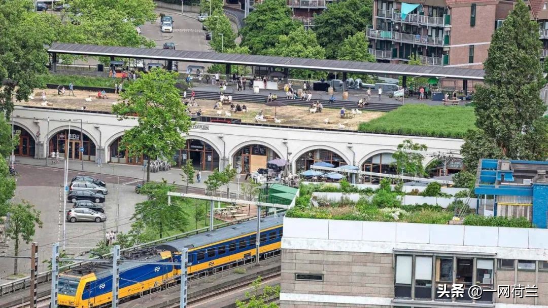 荷兰的屋顶生活与文化