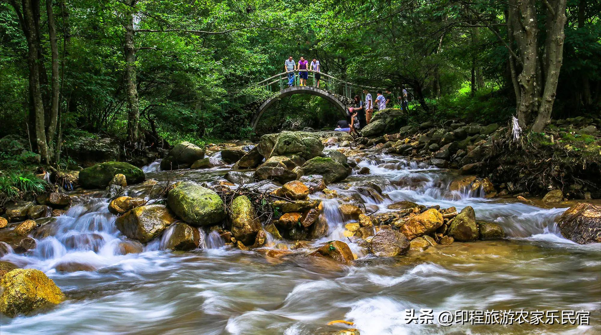 河南避暑胜地农家乐,桐庐避暑胜地农家乐地址