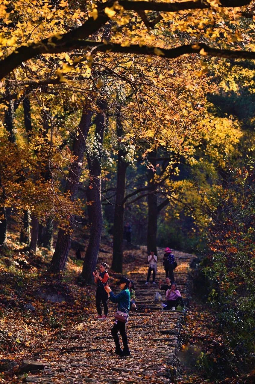 什么是天台,什么是天台记忆