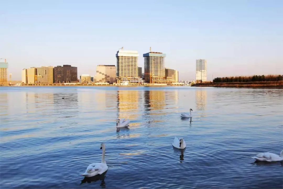 碧桂园云境开盘价格,安顺碧桂园星湖云境