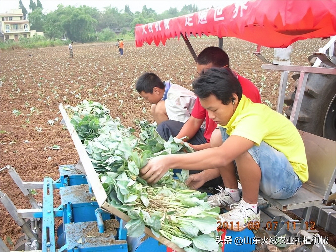 药材移栽机,中药材种苗移栽机