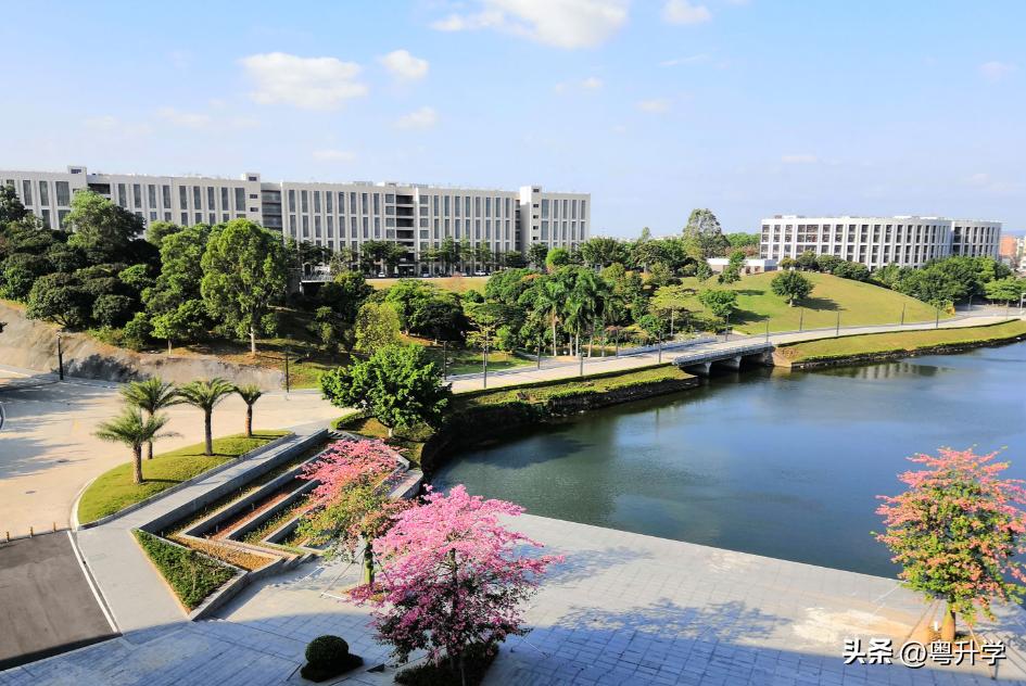 广州科技职业技术大学赵谦,广州科技职业技术大学联系方式