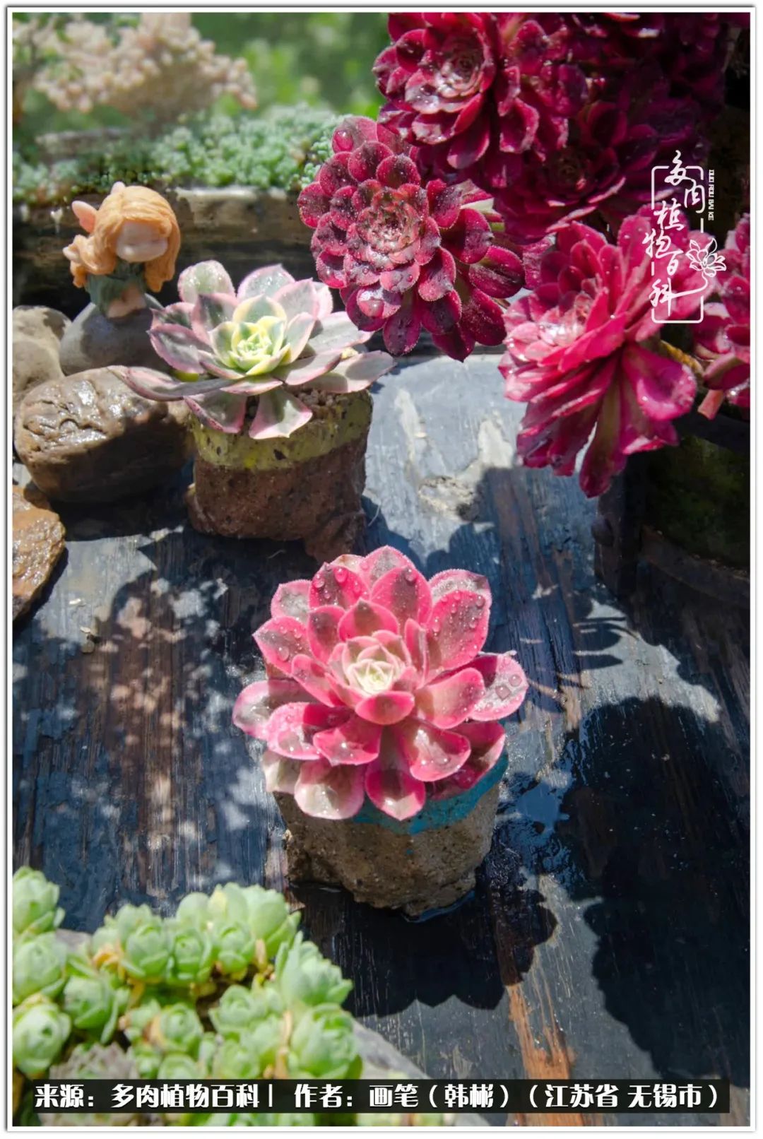 每个人的身旁都要有太阳,每个人都有一颗太阳