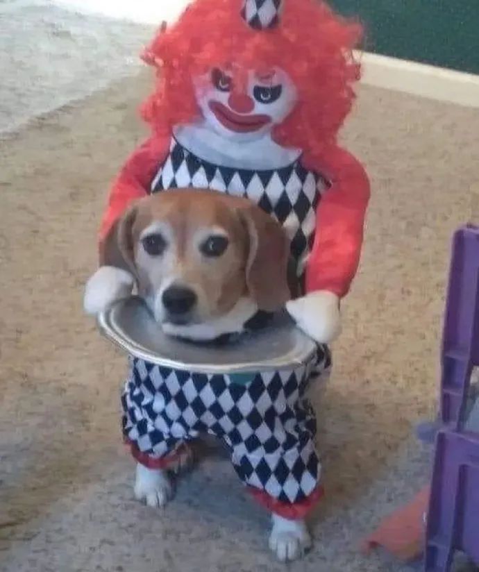 直男的搭讪方式真是尴尬啊,直女如何搭讪帅哥