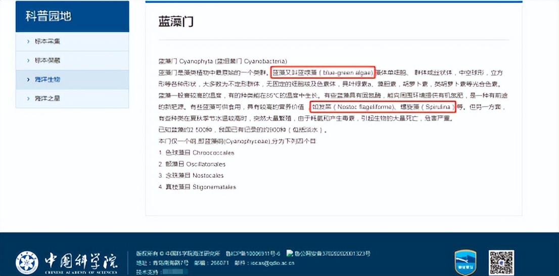 螺旋藻为什么能抗癌防癌,螺旋藻可以预防高血压和三高吗