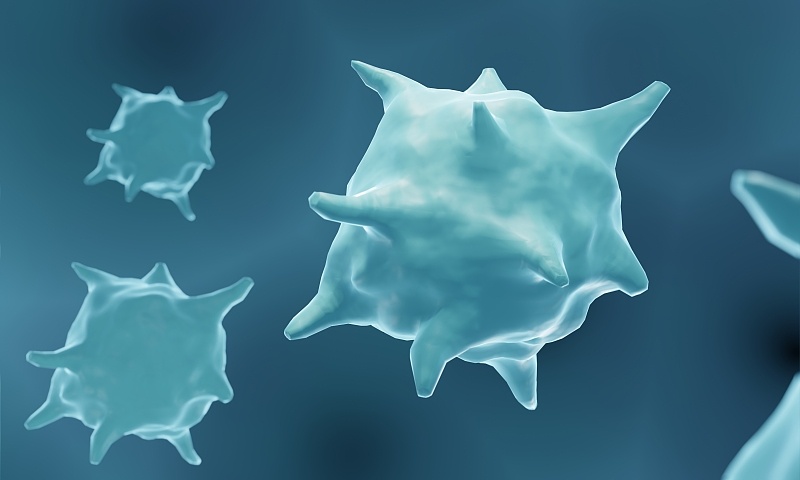 肿瘤坏死因子抑制剂有哪些,肿瘤坏死因子a是什么意思