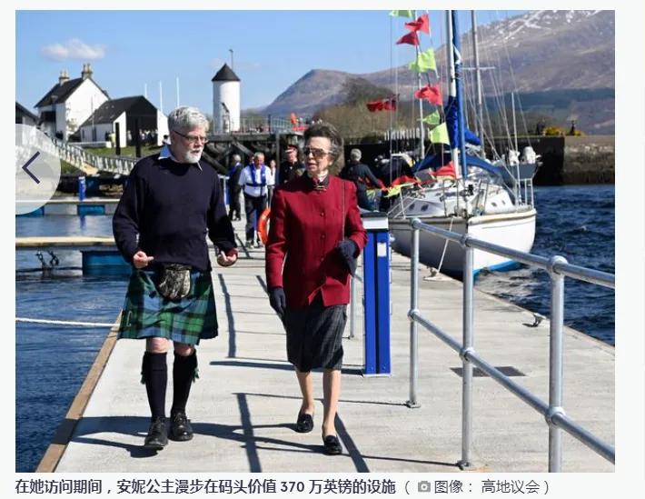 安妮公主的童子军胸针,2023年的安妮公主