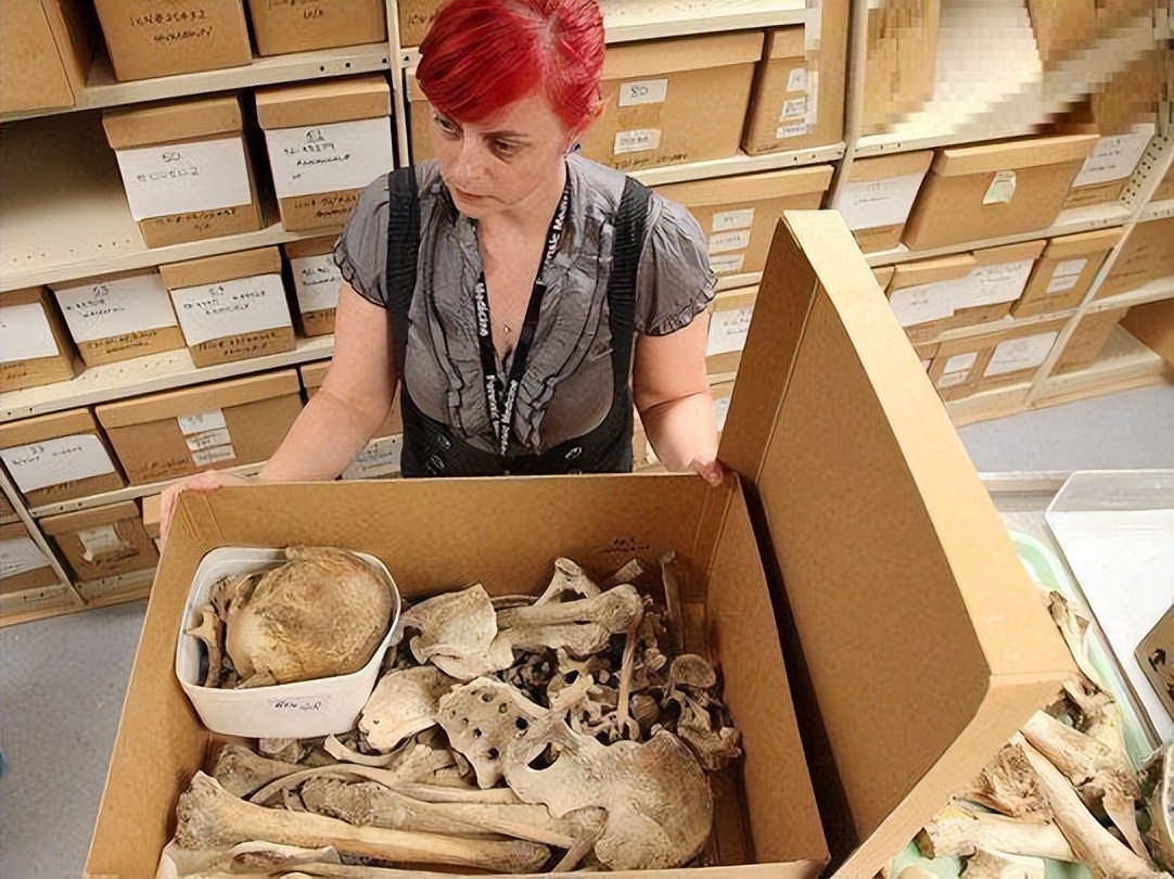 直播卖人骨？22岁美国网红大学生遭网友谴责，家里堆满上百具遗骸