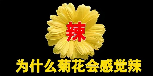 长期吃辣和不吃辣的人哪个更健康,为什么吃辣的能长寿不长寿