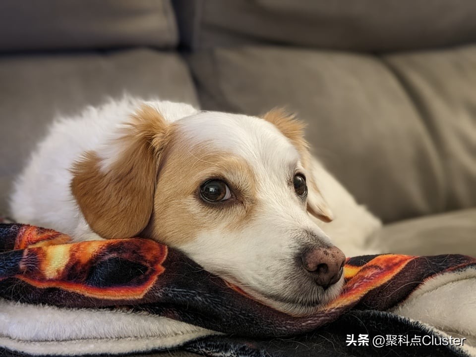 璋锋瓕pixel7a灞忓箷灏哄,璋锋瓕鎵嬫満pixel7a钃濊壊