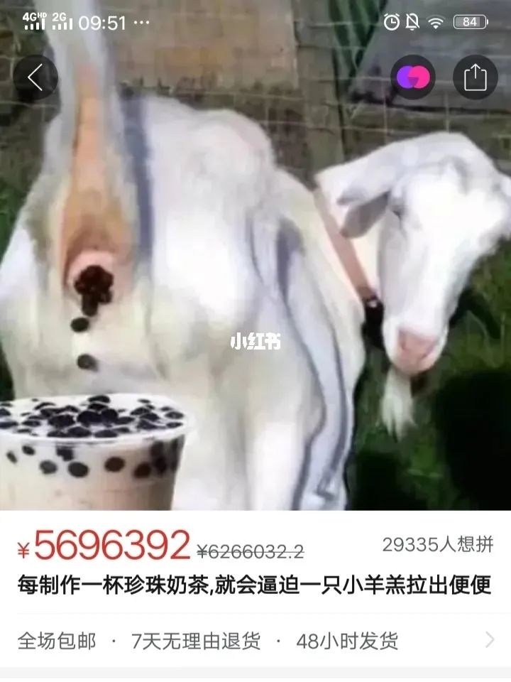 拼夕夕的海报推荐,拼夕夕ins风海报