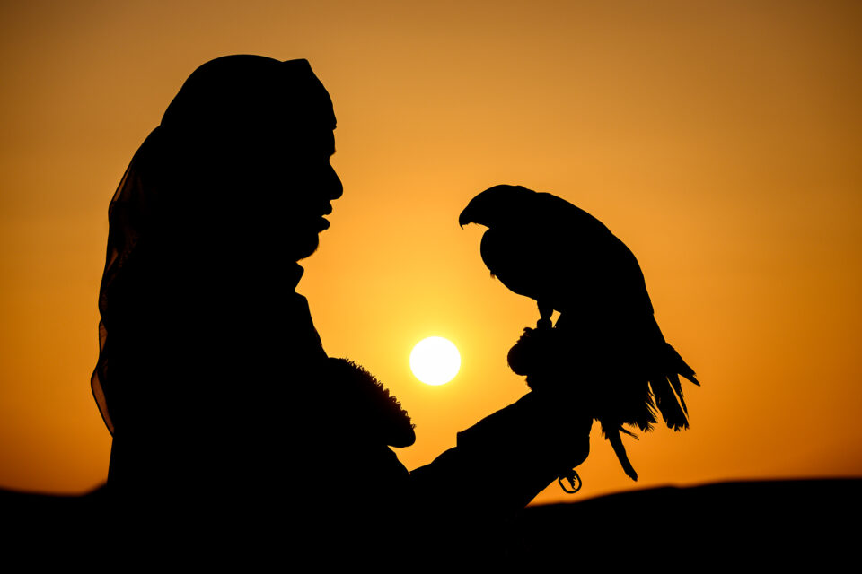 尼康d800属于哪个级别相机,尼康d5100单反相机入门教程