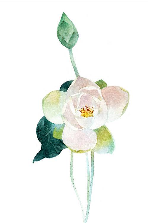 十首最美荷花诗词,最有韵味的荷花十首诗词