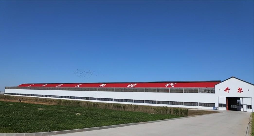 开尔国际赛鸽爱心公棚2020赛事,开尔公棚2020比赛成绩单