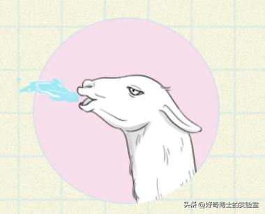 情侣接吻感到恶心正常吗,情侣接吻时为什么不觉得恶心