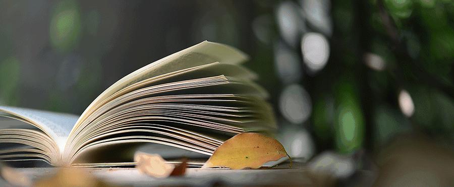 “四大美人”中的杨玉环到底有多美？