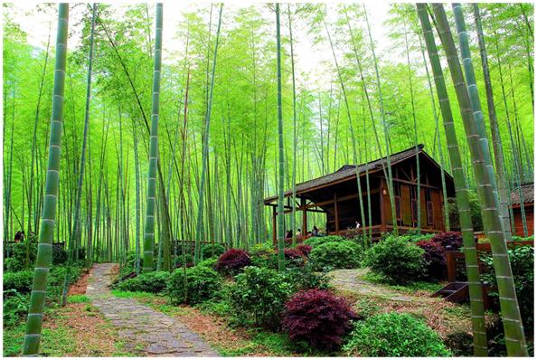 最美广西摄影大赛,壮美广西好风景