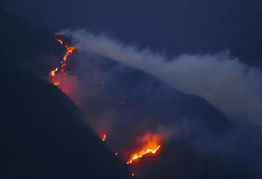 董倩为什么被称为央视名嘴,董倩为什么能留任央视主持人