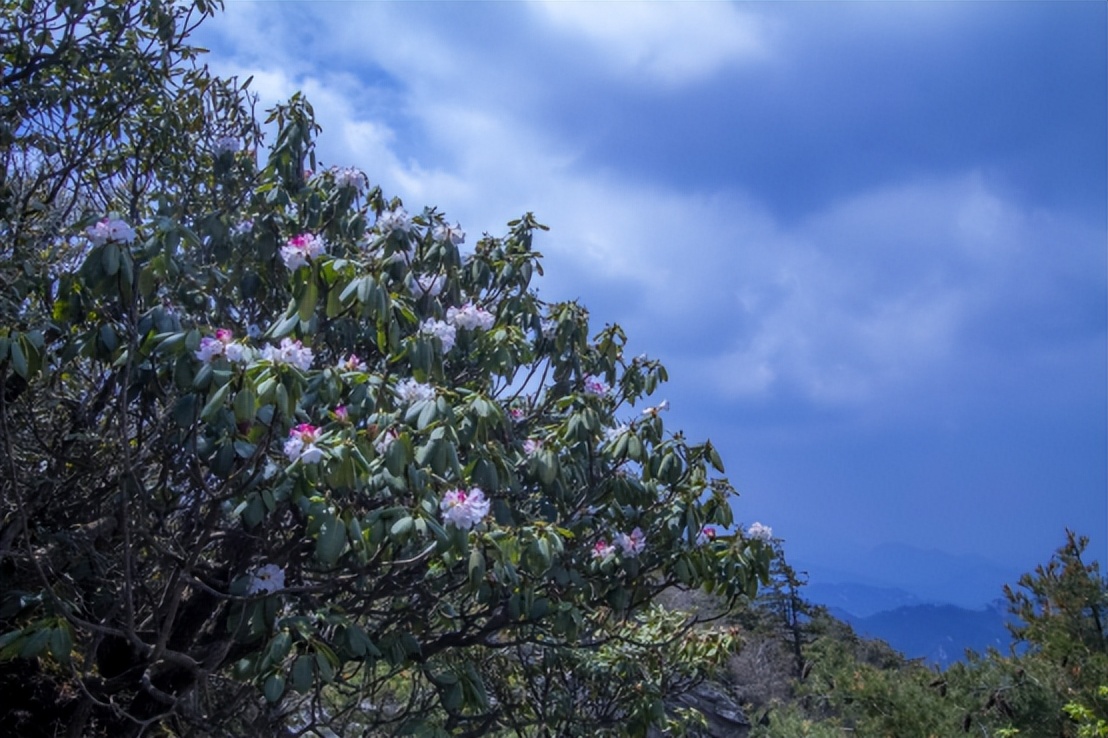 2021年中国旅游日河南免门票景区,2020中国旅游日河南免费景区