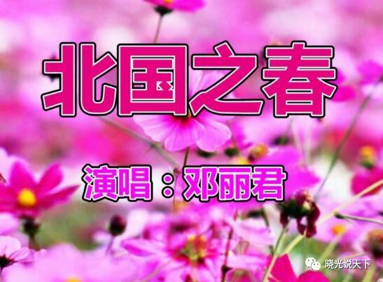 中日文化艺术交流,中日合唱北国之春