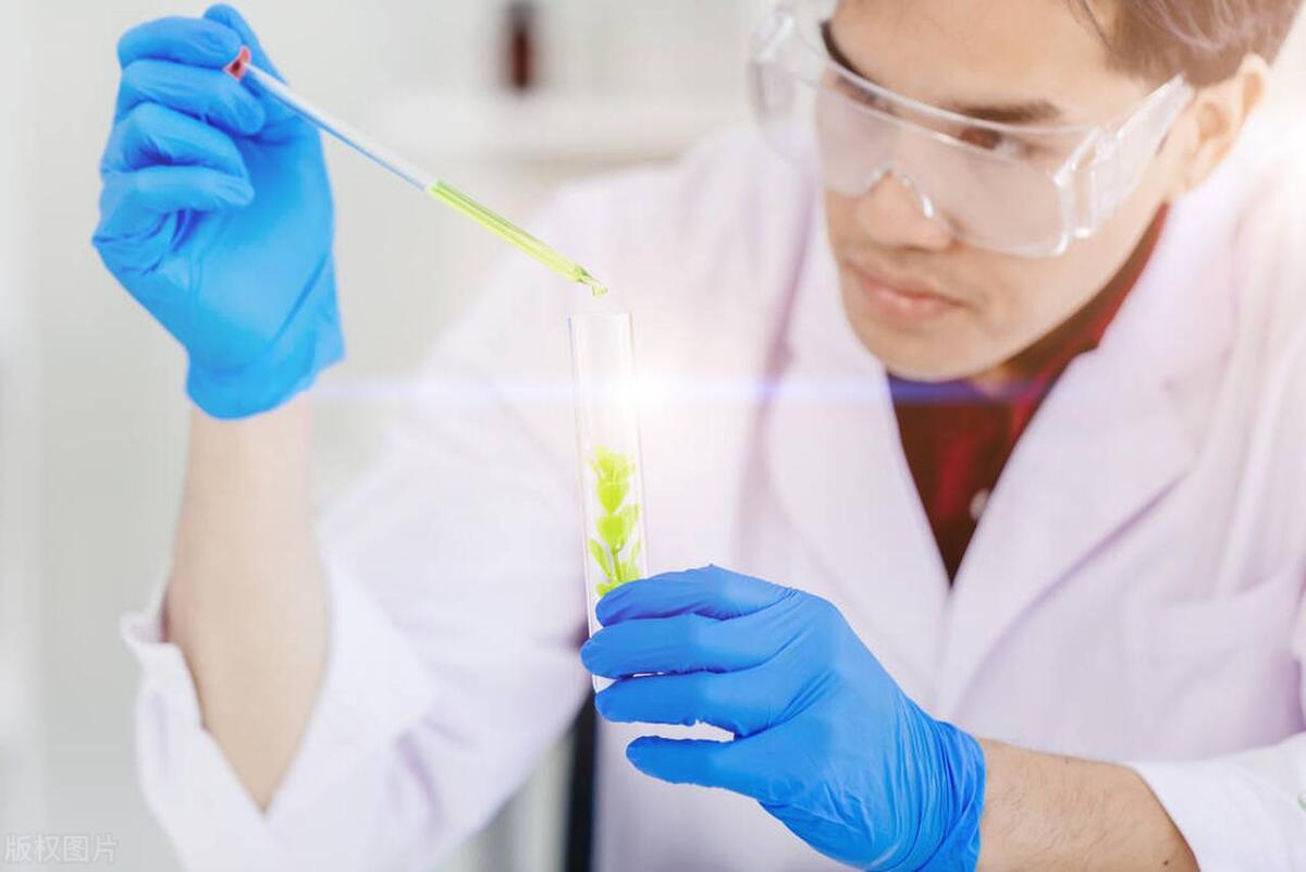 大学生物医药专业排名,实用医学生物技术专业排名