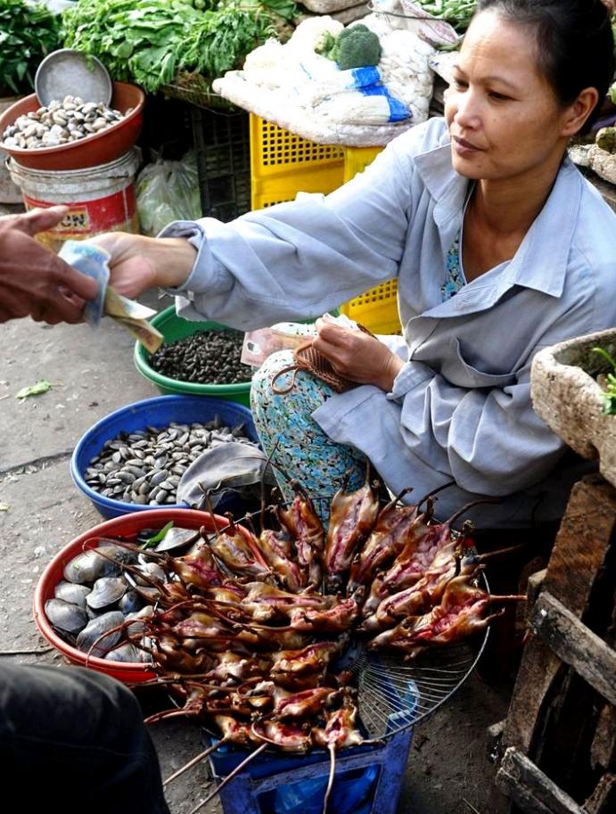 越南老鼠美食记录最新,越南美食重口味老鼠