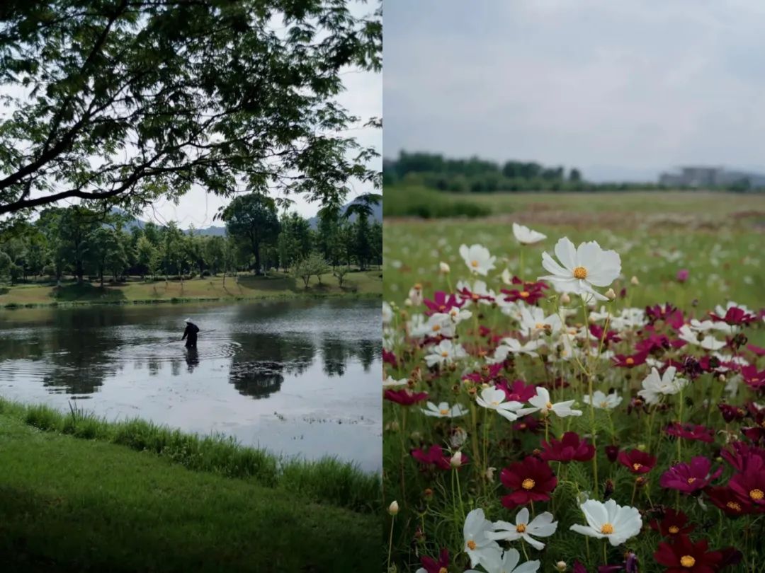 听我的，四月的杭州才是浪漫天花板。