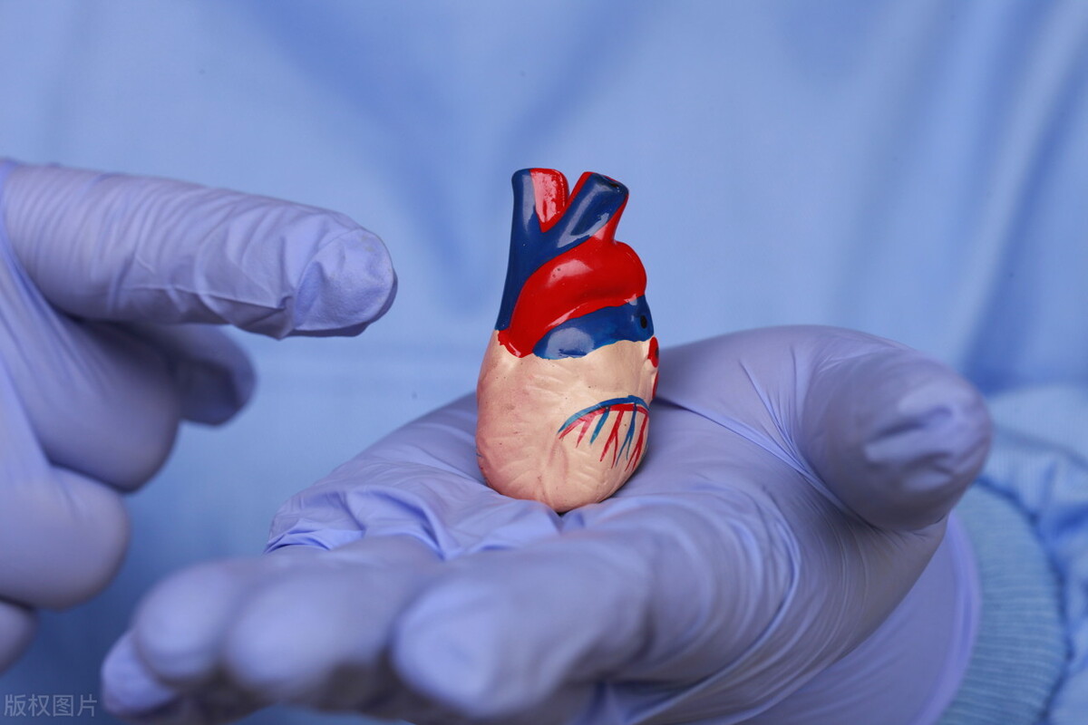 怎么预防足球猝死,世界杯意外猝死