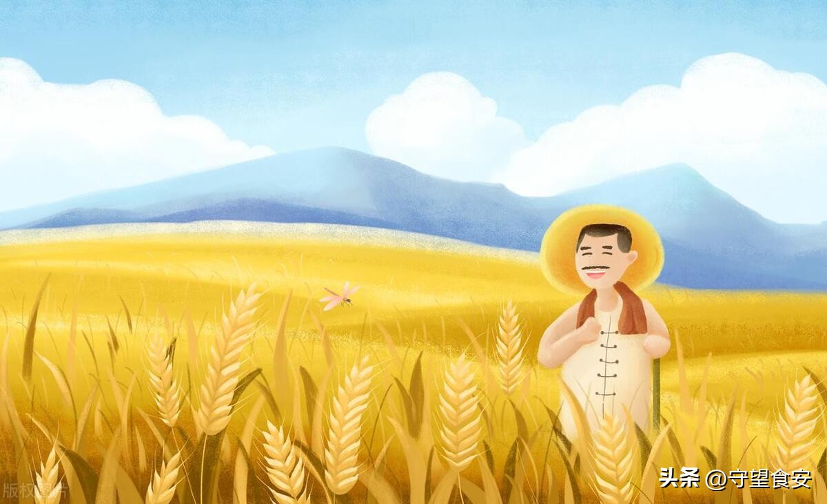 农历二月二十五有什么习俗和来历,农历五月二十六有哪些传统习俗