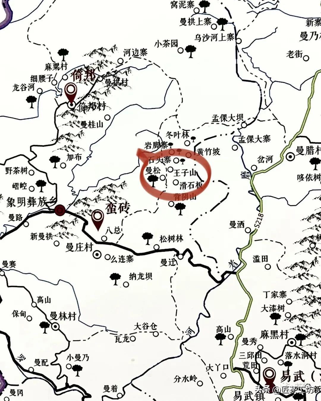 为什么只有曼松才被誉为贡茶,曼松皇家贡茶