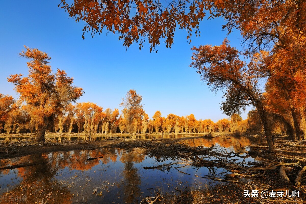 我不知年少轻狂只知道胜者为王,不知年少轻狂只知胜者为王赵信