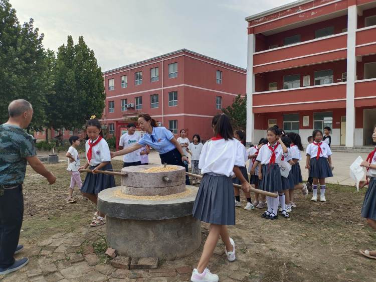 劳动实践促成长心得,劳动助成长实践促发展记录表