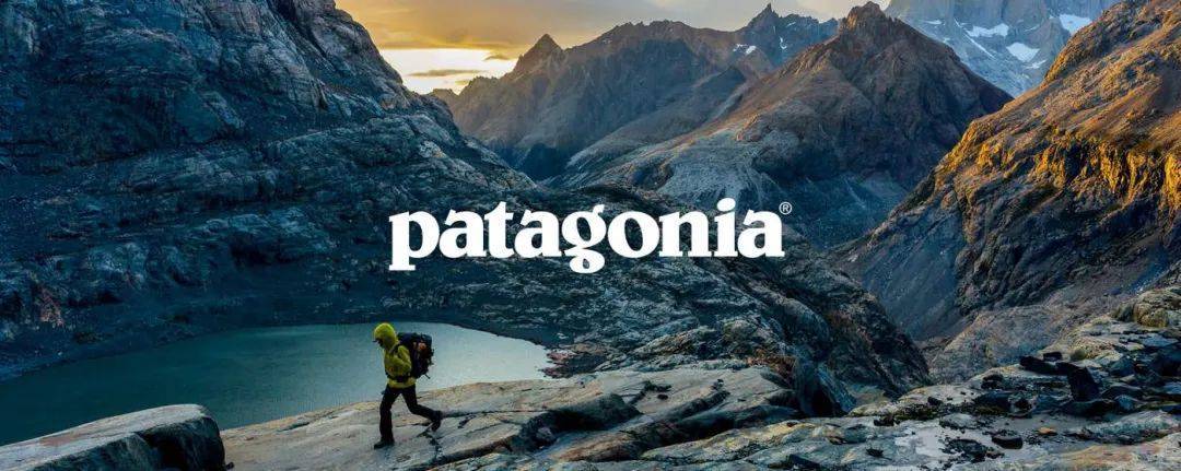 被卖狗贩的阿拉斯加,被卖的阿拉斯加