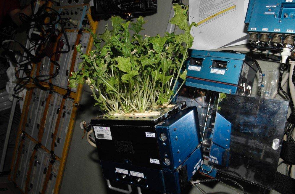 空间站为什么只离地面400公里,空间站为什么不离地球1000公里