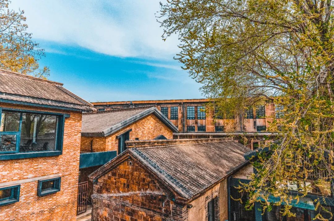 游山玩水、炫烧烤！淄博两日游路线新鲜出炉！你的周末，应该这么玩~