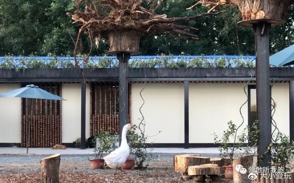 北京适合孩子玩的农场,一年四季都可以去的亲子农场