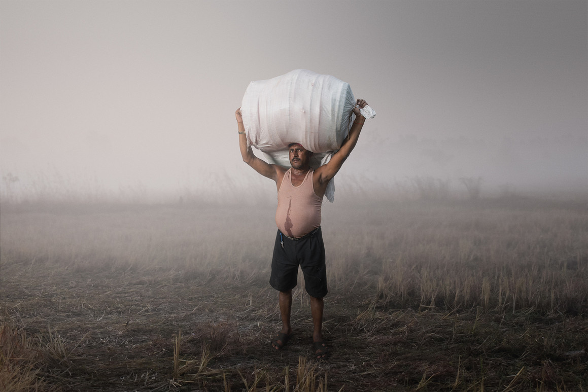 每日特效海报设计,文字特效设计海报