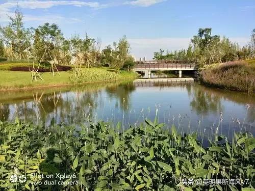 遂宁风景太美了,遂宁真的很美