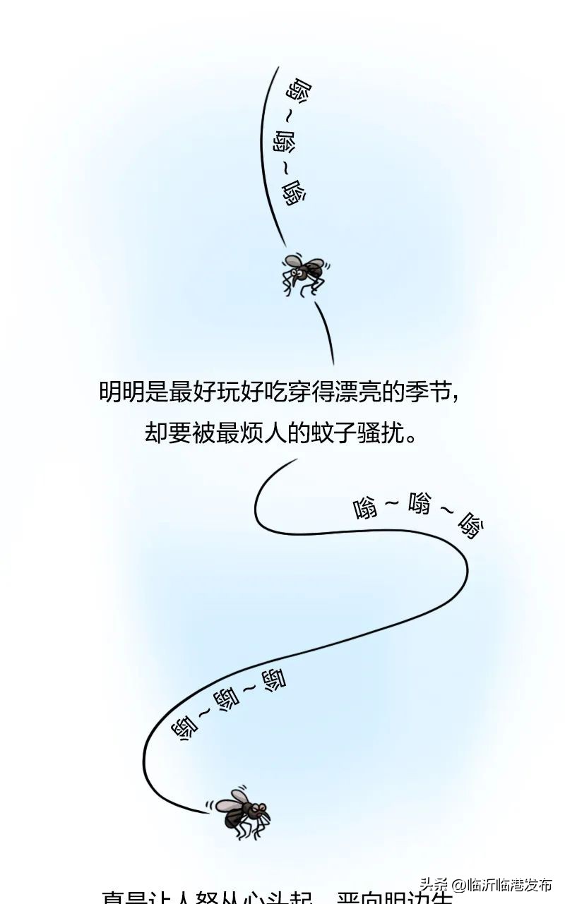 蚊子太毒怎么处理,彻底绝杀蚊子的妙招