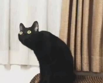 这个字怎么读图片,这个字怎么读蒟蒻